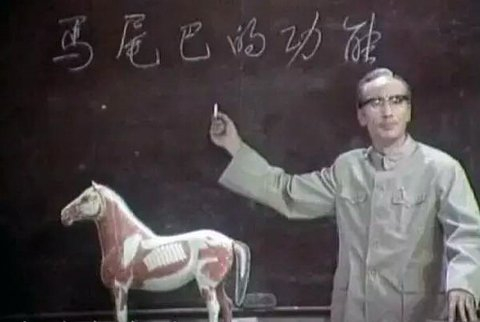 △这个桥段十分著名，今天有不少网友发文悼念“再也听不到您给学员们讲解马尾巴的功能了。”