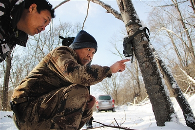 　　保护区工作人员正在检查红外摄像机。在中俄边境及保护区内，布设有这样的摄像机千余台。图/珲春东北虎国家级自然保护区