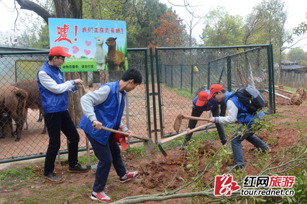植树节遇上恋爱季 长沙动物园种出一条“遮羞布”_手机新浪网