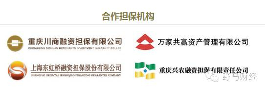 （资料来源：“中金国创控股有限公司”官网）