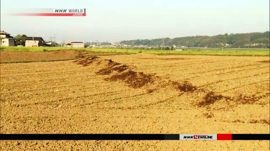 日本熊本7.3级地震震源附近，田埂和道路出现凸起或裂缝。
