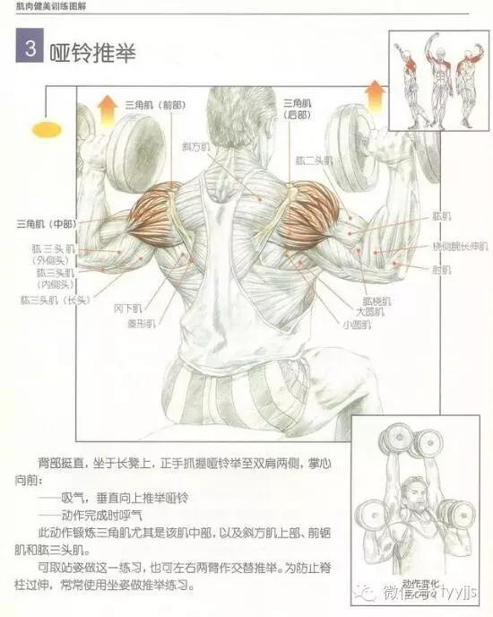 肩部训练必备动作之一--肩上哑铃推举