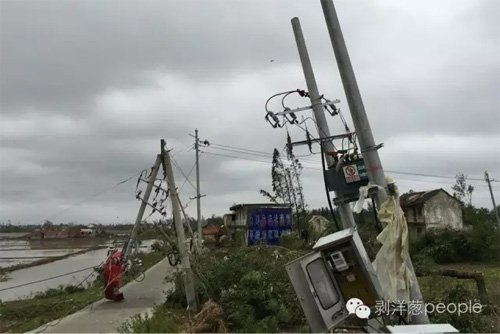 　　阜宁县榆东村是龙卷风经过的重灾区，仅榆东村二组就有8人遇难，整个村子房屋成片倒塌，大树拦腰折断，变电箱严重损毁。图片来自网络