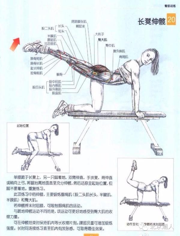 三个月练出翘臀,你与美臀只有一篇干货的距离