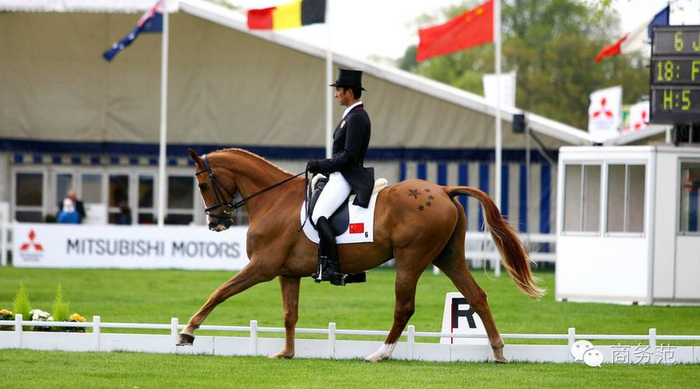 马屁屁上的五星好萌哟(⊙v⊙)