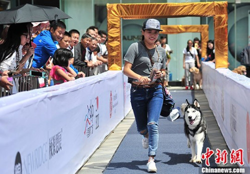 资料图片：犬主与爱犬一起跑步。 中新社记者 刘冉阳 摄