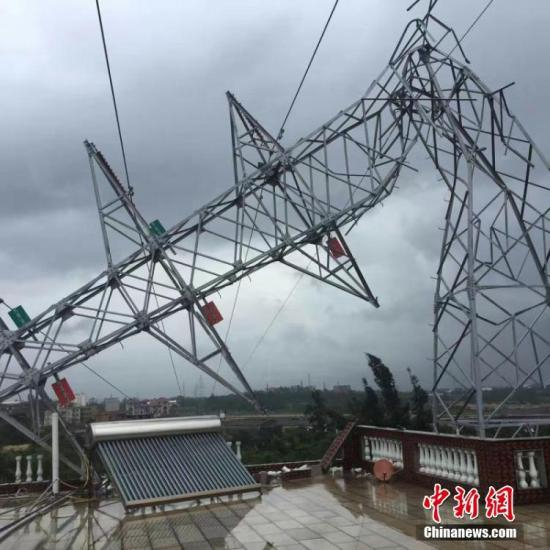 　　15日，福建台风红色预警、暴雨黄色信号高挂。图为福建晋江110KV永东线4塔受台风影响塔身被折断。 曾蒿 摄