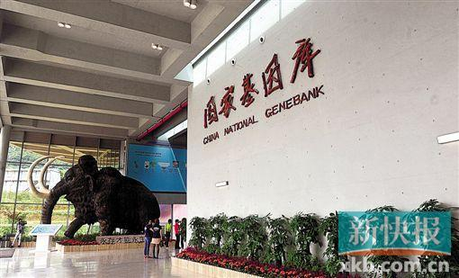 国家基因库内的猛犸象雕塑格外引人注目。