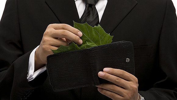 　图片来源：视觉中国