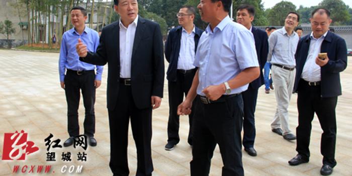 长沙市副市长陈中来望城调研美丽乡村建设