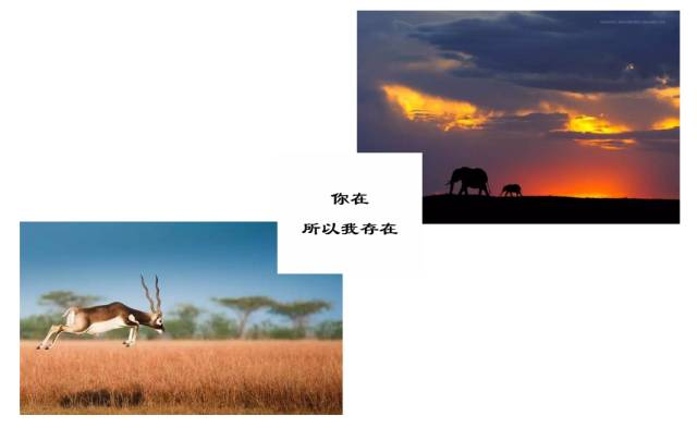 你在，所以我存在