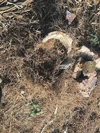 距离事发地不远处，一口井口已经破损的枯井，掩埋在荒草间