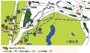  “橘子地图”