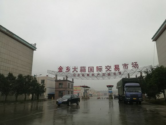 金乡大蒜国际贸易交易市场（即山禄市场）。 李超摄