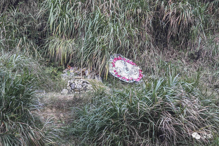 孟阿香的坟墓位于半山的一处草丛里