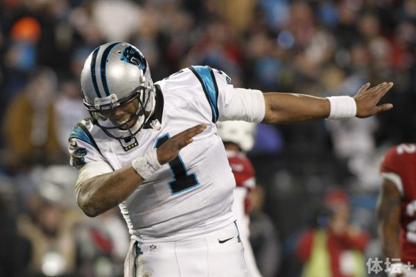 黑豹队的卡姆-牛顿