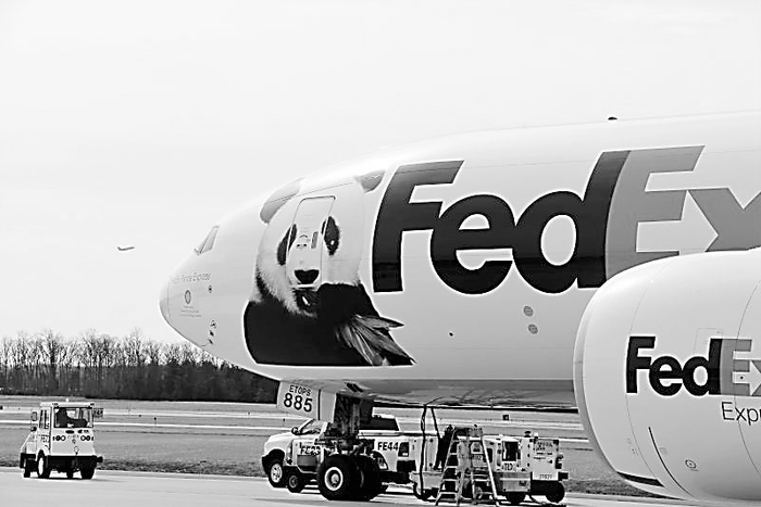 “宝宝”乘坐的联邦快递专机。