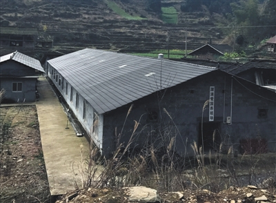 2月25日，湖南溆浦县彭洲村养殖户家废弃的猪场。B06-B07版摄影/新京报记者 张泉薇