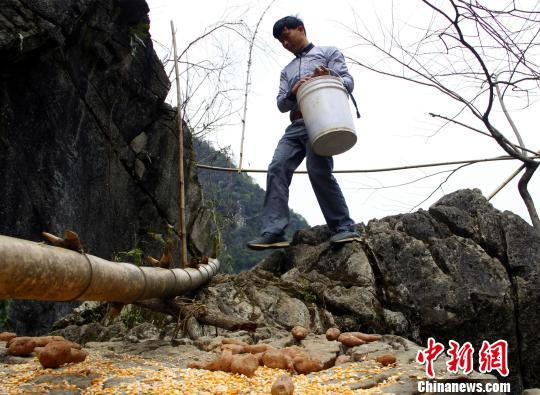 图为村民上山放置粮食。　朱柳融　摄