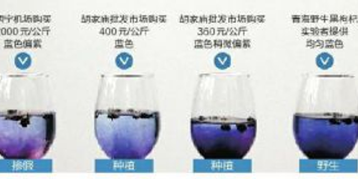 怎样鉴别野生黑枸杞？_手机新浪网