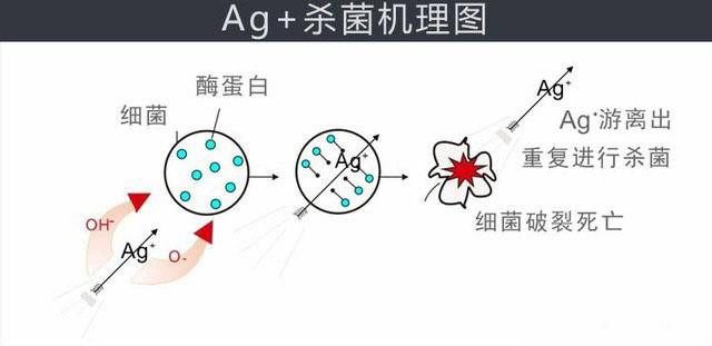 银离子杀菌机理图解