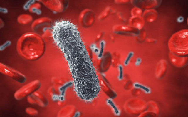 有害细菌威胁身体健康