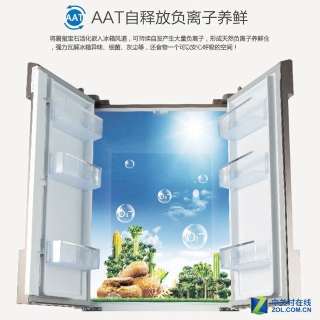 AAT负离子养鲜技术