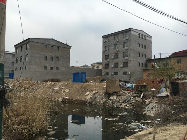 安新县大张庄村，村容环境有待改善。