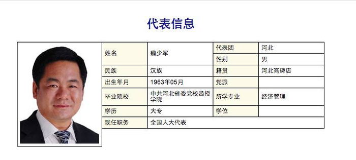 魏少军个人资料 图据 中国人大网