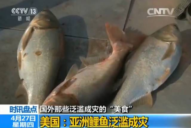 ▲图片来源：央视新闻