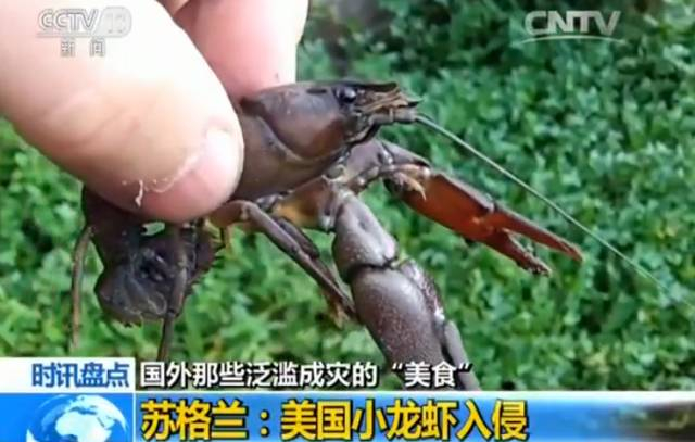 ▲图片来源：央视新闻