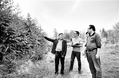  巡察组人员在林场实地勘察