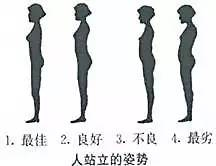 举止礼仪 | 这样的站姿,尽显女性风韵