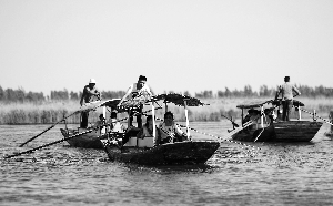 　　“五一”期间，游客在雄安新区安新县白洋淀景区乘船游览。新华社发