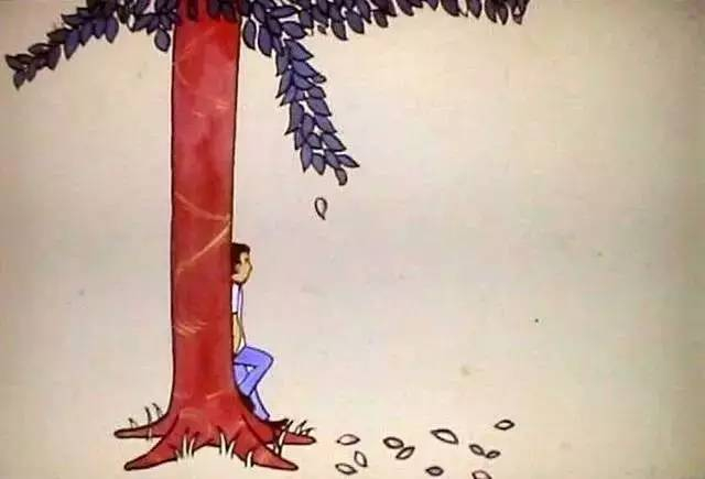 日子一天天过去，男孩长大了。