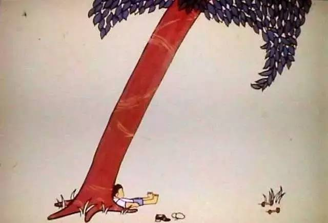 玩累了，男孩就在她的树荫下睡觉