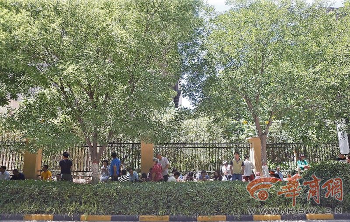 　　华商记者 赵瑞利 文 张杰 图