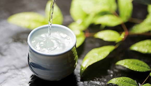 图片来源：视觉中国