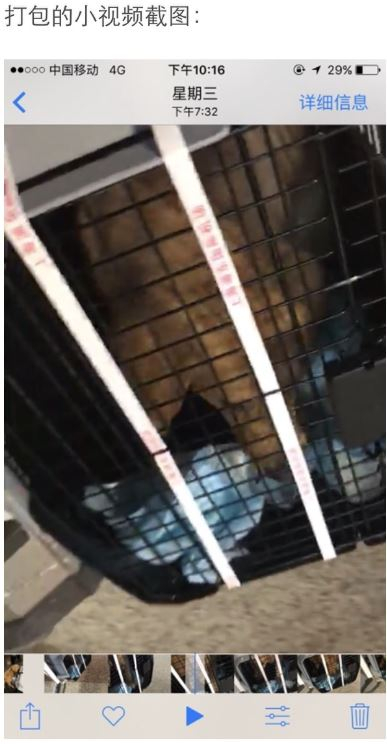 打包的小视频截图。 图片来源于微博网友@HUST_维维豆奶