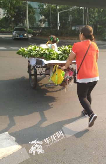 小女孩儿在车里吃冰棍儿