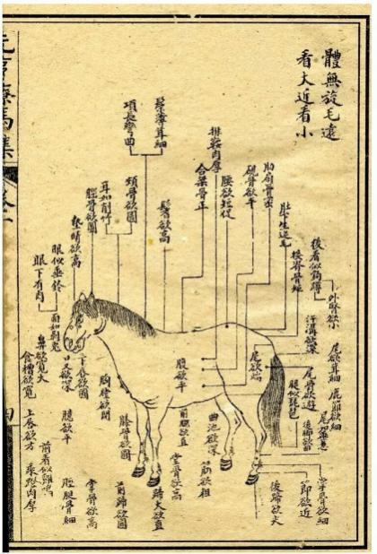 老司机如何“开车”:马车系法的演进史