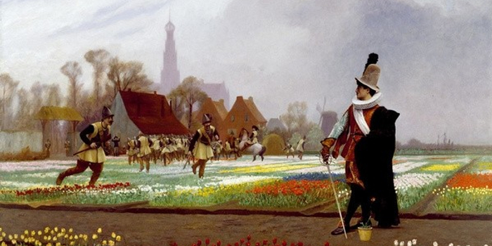 深度 | 郁金香神话与加密数字货币_手机新浪网