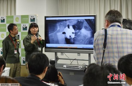 　　当地时间2017年6月12日，东京上野动物园的雌性大熊猫“真真”产下一只幼崽。上野动物园大熊猫产子是5年来第一次，上次得追溯到2012年。