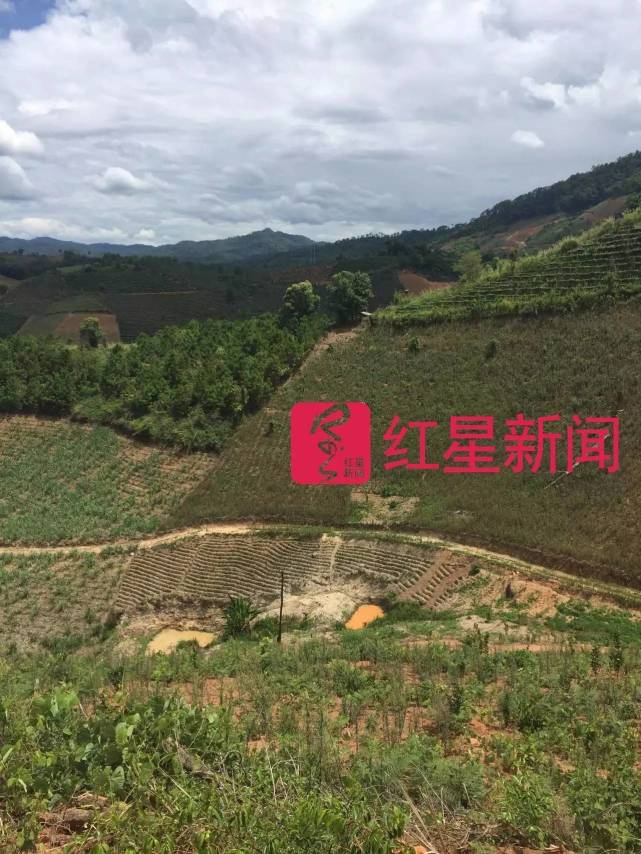 黑山村一些经济作物用地出现荒废