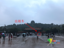 停靠在故宫博物院北门的出租车。中国青年网记者 张瑞宇 摄