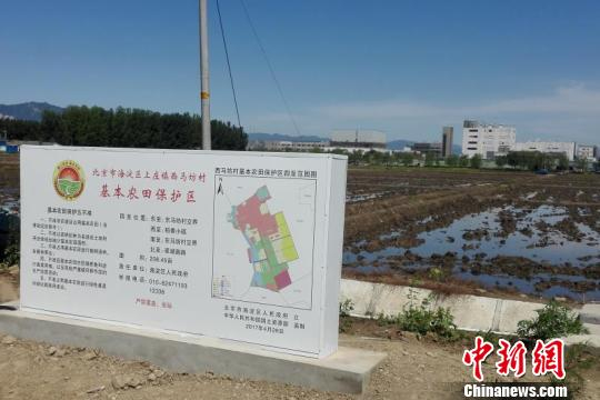 　　北京共划定永久基本农田约151.6万亩，城市周边划定约14.8万亩。图为基本农田保护区。北京市国土资源勘测规划中心供图
