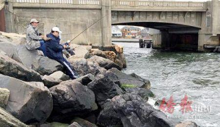 喜欢垂钓的华人要知道鱼只能自用而不能商用。 （纽约《侨报》档案照）