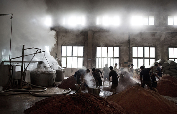 　　2016年9月24日，贵州遵义仁怀市茅台镇，酿酒厂里工人们扬撒高粱准备进行第一次发酵。视觉中国 资料图