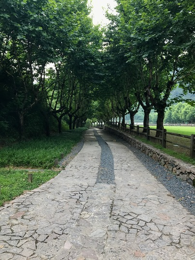 图为裸心洋家乐进园通道