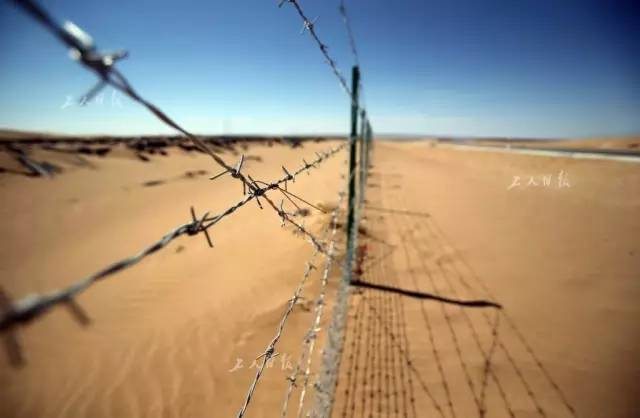  防止动物进入高速的围栏。